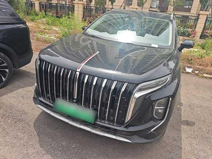 Фото 2 - Hongqi HS7 Hybrid