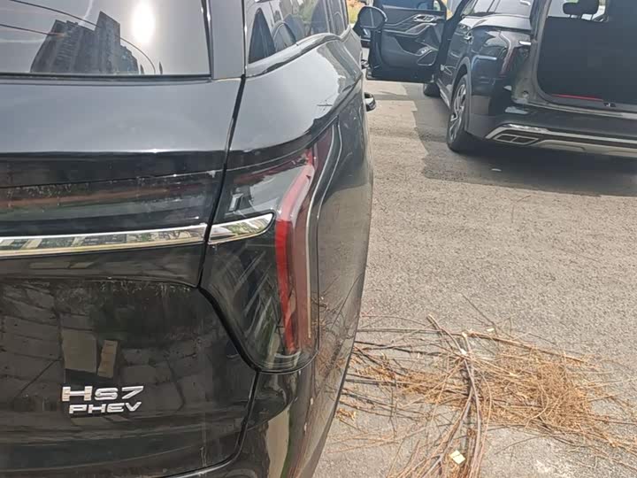 Фото 8 - Hongqi HS7 Hybrid