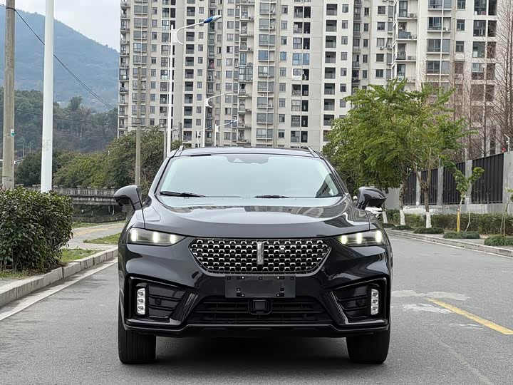 Wey VV7 Hybrid 2020 2020款 PHEV 2.0T 旗舰型