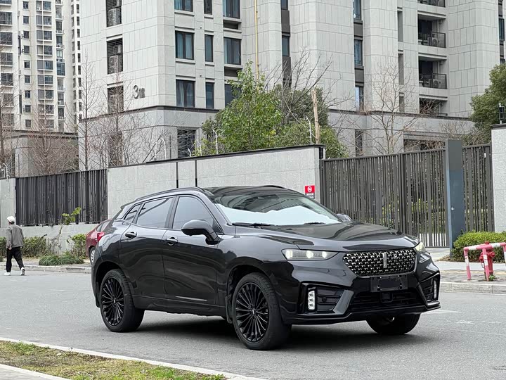 Wey VV7 Hybrid 2020 2020款 PHEV 2.0T 旗舰型