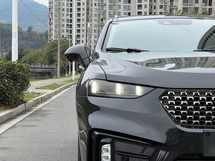 Wey VV7 Hybrid 2020 2020款 PHEV 2.0T 旗舰型