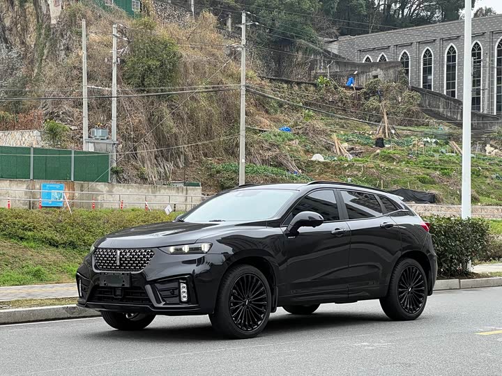 Wey VV7 Hybrid 2020 2020款 PHEV 2.0T 旗舰型