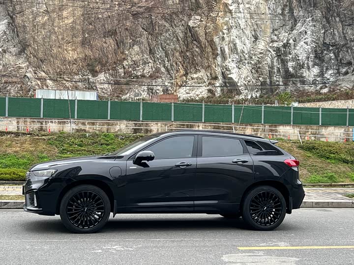 Wey VV7 Hybrid 2020 2020款 PHEV 2.0T 旗舰型