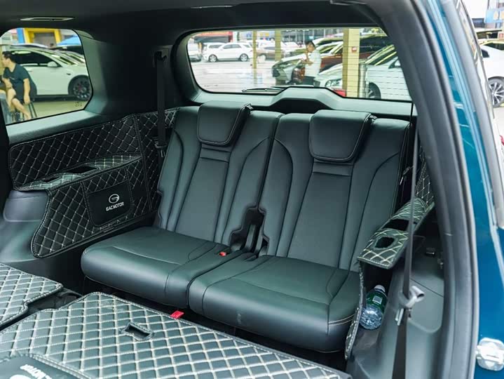 GAC Trumpchi GS8 2022 2022款 双擎系列 2.0TM 两驱尊贵版 （七座）