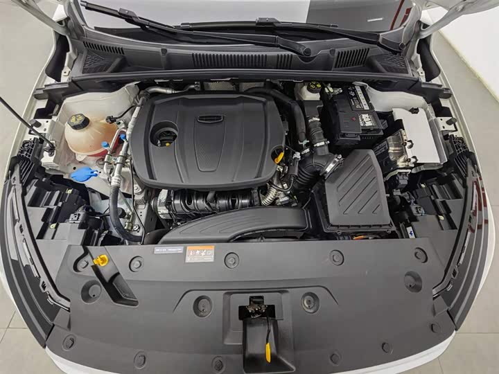 Zdjęcie 6 - Geely Emgrand