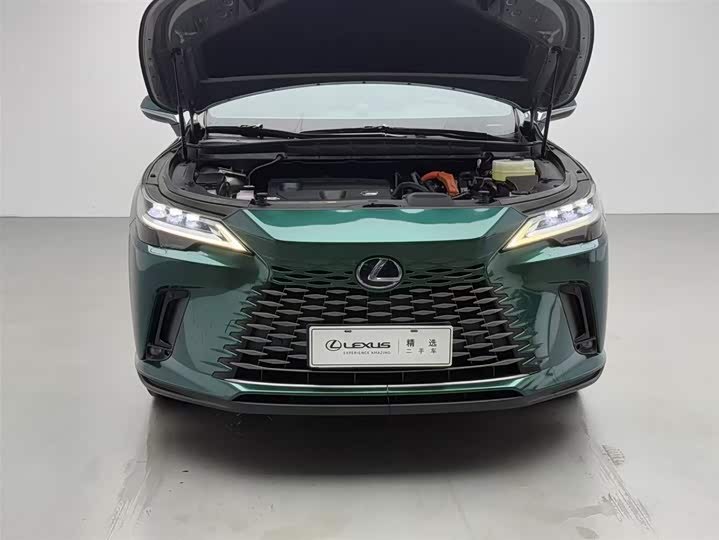 Lexus RX 2023 2023款 350h 四驱醇享版