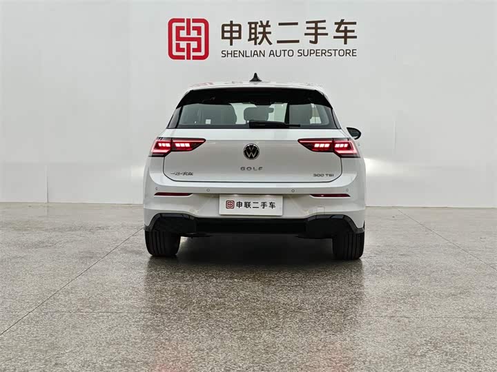 Volkswagen Golf 2025 2025款 300TSI R-Line