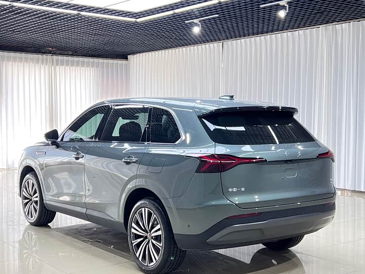 Фото 6 - Hongqi HS6 Hybrid