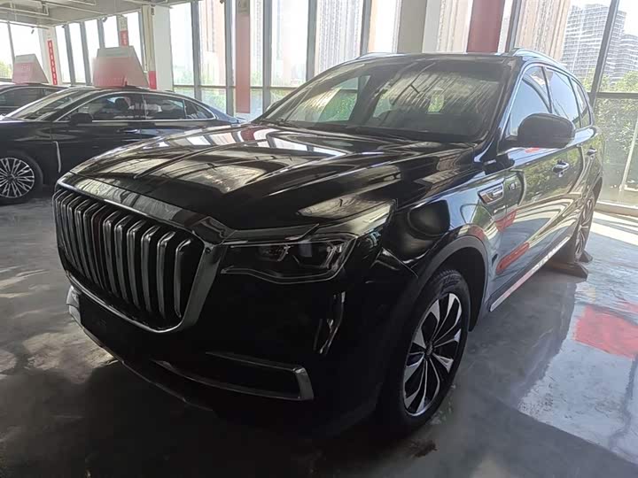 Фото 2 - Hongqi HS7