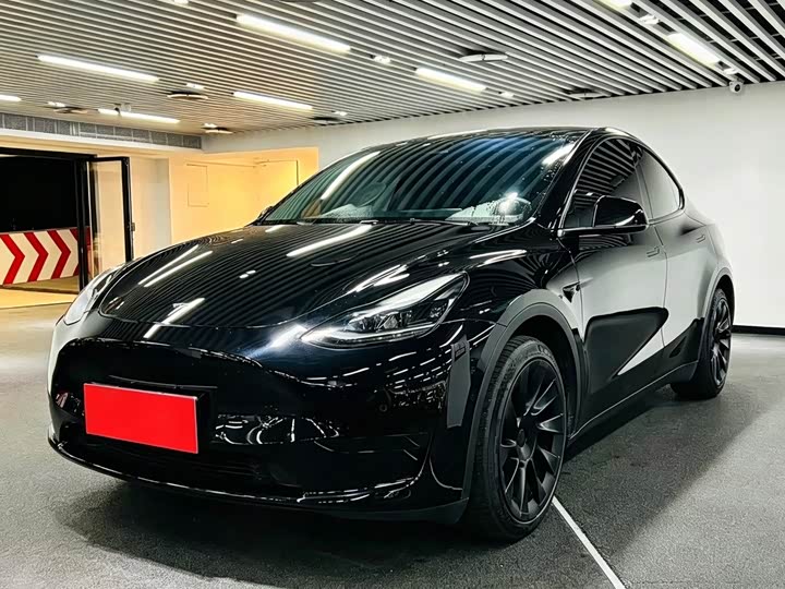 Tesla Model Y 2022 2022款 后轮驱动版