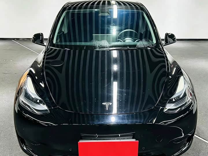Tesla Model Y 2022 2022款 后轮驱动版