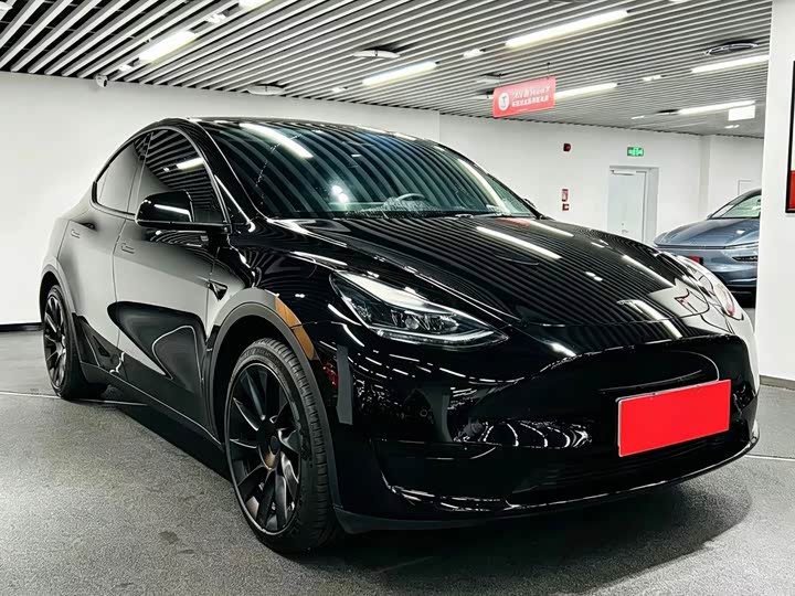 Tesla Model Y 2022 2022款 后轮驱动版