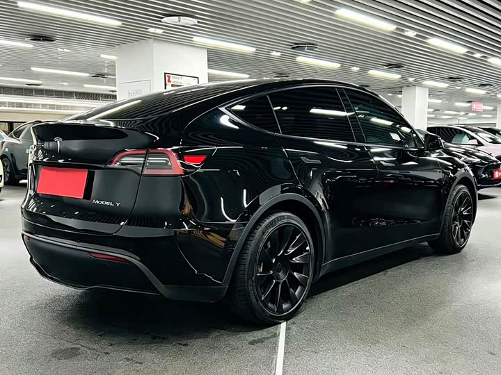 Tesla Model Y 2022 2022款 后轮驱动版