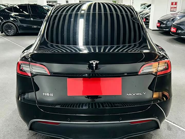 Tesla Model Y 2022 2022款 后轮驱动版