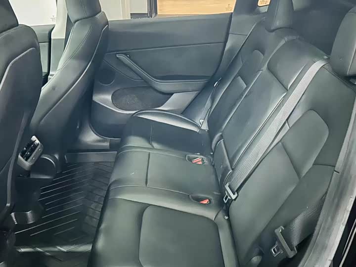 Tesla Model Y 2022 2022款 后轮驱动版