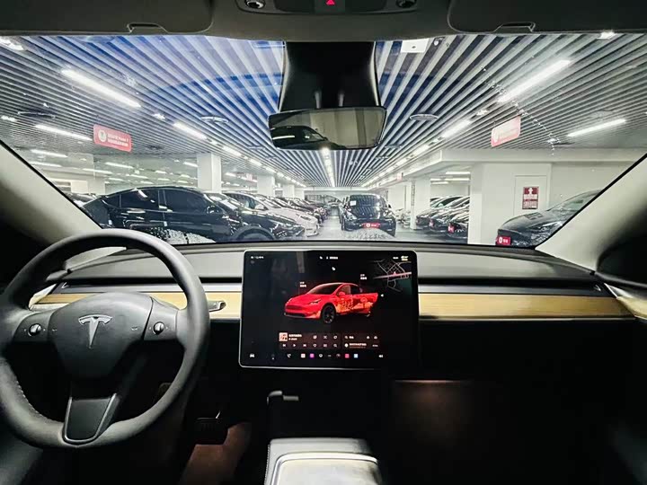 Tesla Model Y 2022 2022款 后轮驱动版