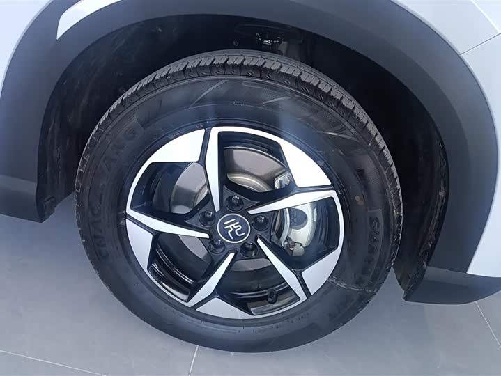 BYD Yuan Up 2024 2024款 401KM 领先型