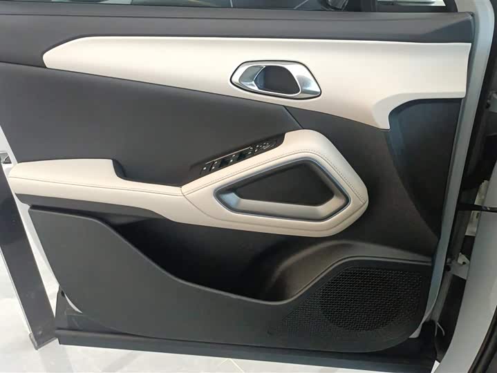 BYD Yuan Up 2024 2024款 401KM 领先型
