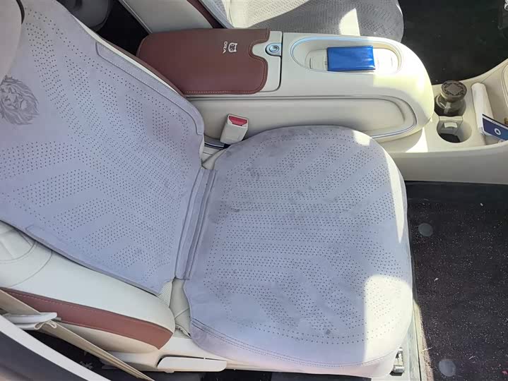 Ora Good Cat (03) 2025 2025款 430km 豪华型