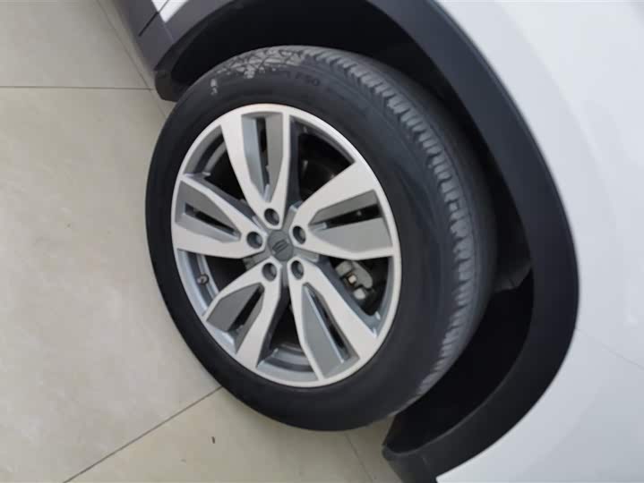 Geely Okavango 2022 2022款 1.8TD 自动尊贵型 7座