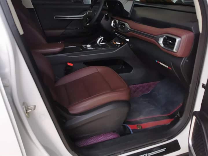Geely Okavango 2022 2022款 1.8TD 自动尊贵型 7座