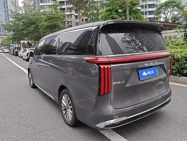 Wey Gaoshan 2025 2025款 四驱高山9