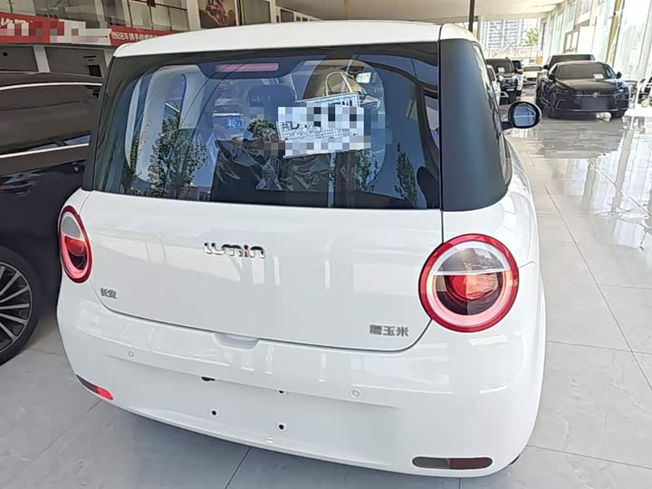 Фото 6 - Changan Qiyuan (Nevo) Lumin