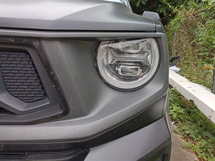 Zdjęcie 5 - Haval H-Dog