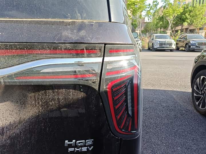 Hongqi HQ9 Hybrid 2024 2024款 2.0T 四驱商务版