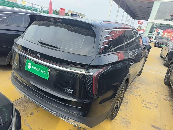 Фото 7 - Hongqi HS7 Hybrid