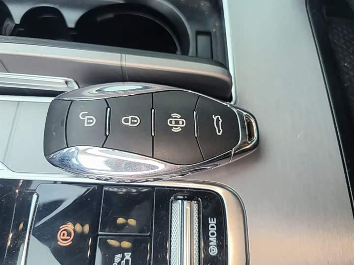 Фото 9 - Hongqi HS7 Hybrid
