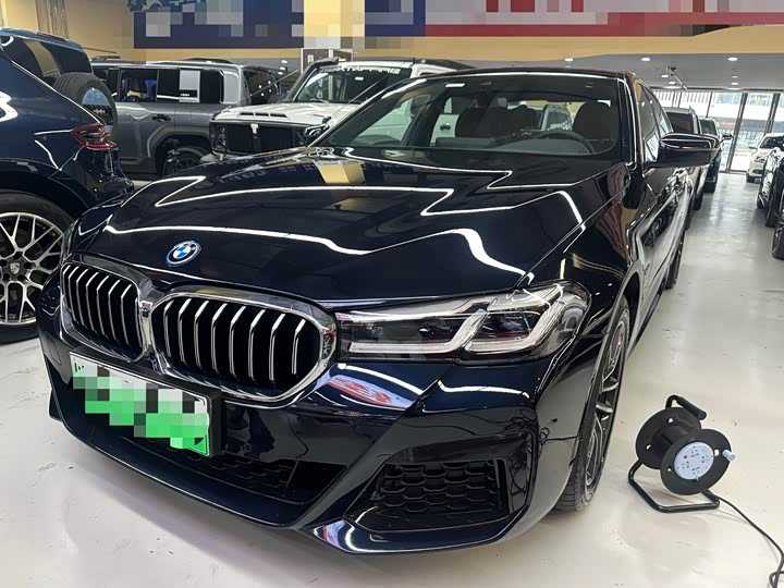 Фото 1 - BMW 5 Series Hybrid