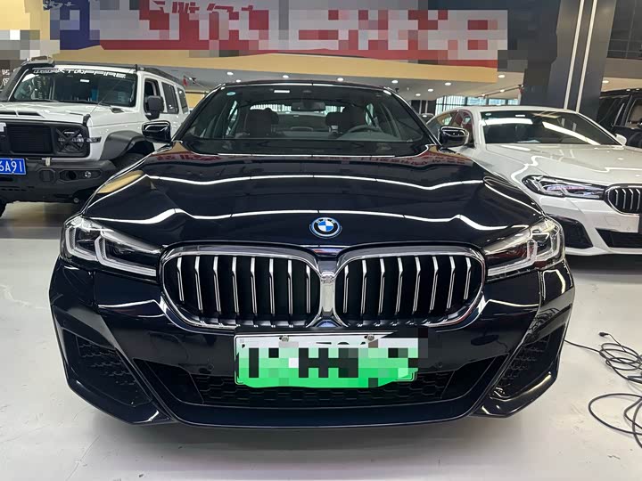 Фото 2 - BMW 5 Series Hybrid
