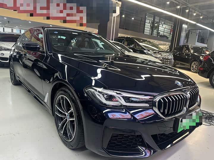 Фото 3 - BMW 5 Series Hybrid