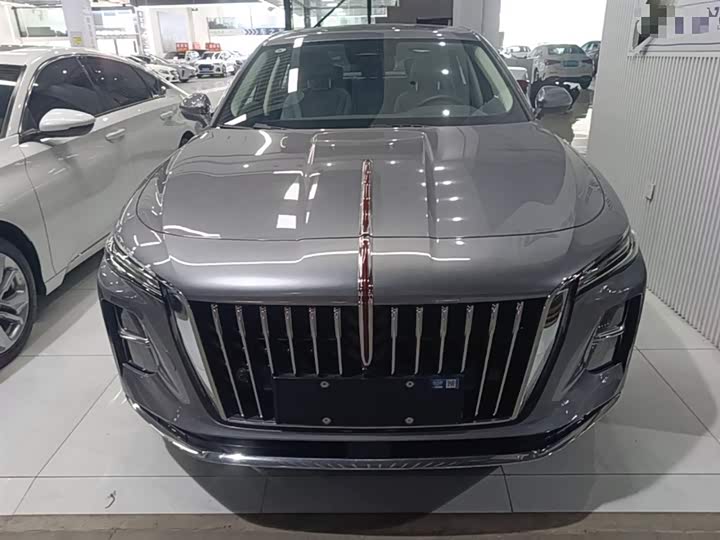 2025 Hongqi H5 Hybrid