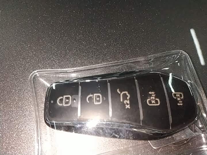 BYD Xia 2025 2025款 DM-i 1.5T 180km 超越型