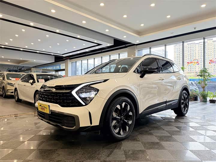 Kia Sportage 2023 2023款 2.0T 两驱尊贵版