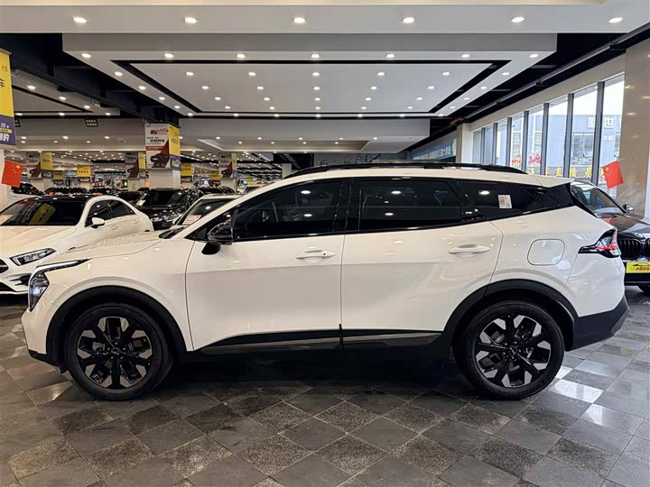 Kia Sportage 2023 2023款 2.0T 两驱尊贵版