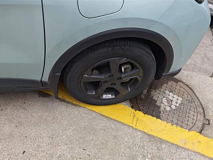 Geely Geometry E Firefly 2024 2024款 401km 萤光