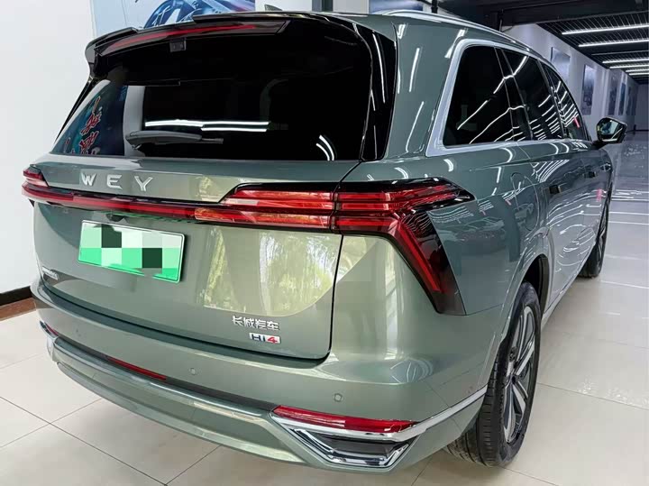 Wey Lanshan 2025 2025款 四驱 Max