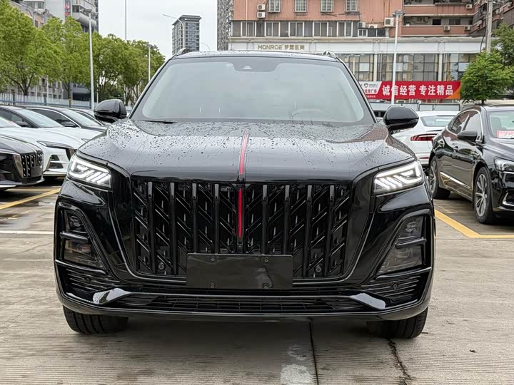 Фото 2 - Hongqi HS5