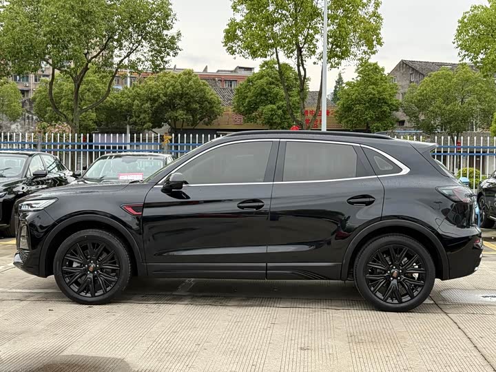 Фото 4 - Hongqi HS5