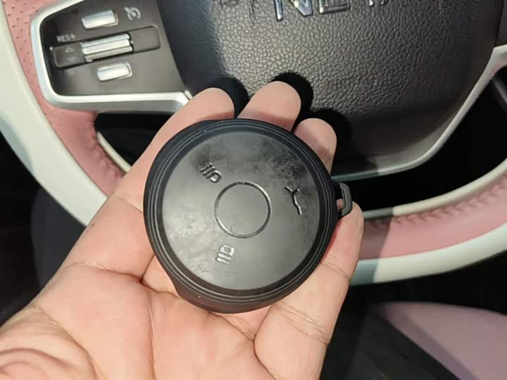 Hozon V 2022 2022款 潮 400 Lite 粉色定制款
