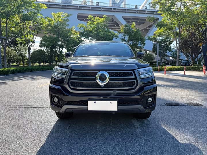 Great Wall Pao 2025 2025款 2.0T 商用炮 自动汽油四驱舒适型