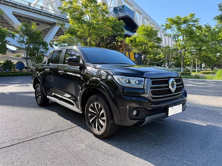 Great Wall Pao 2025 2025款 2.0T 商用炮 自动汽油四驱舒适型