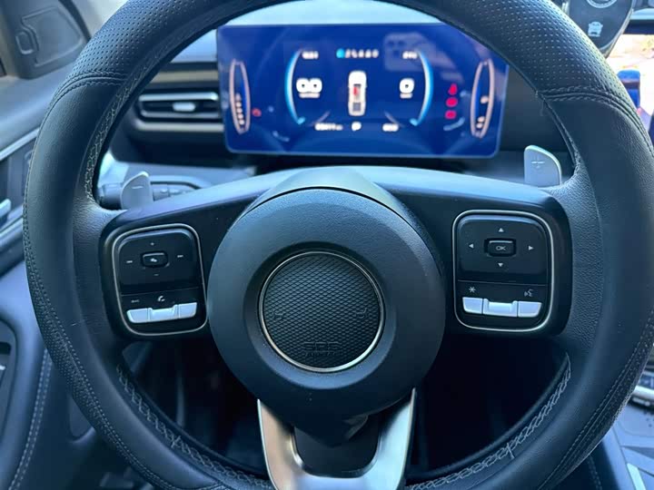 Great Wall Pao 2025 2025款 2.0T 商用炮 自动汽油四驱舒适型