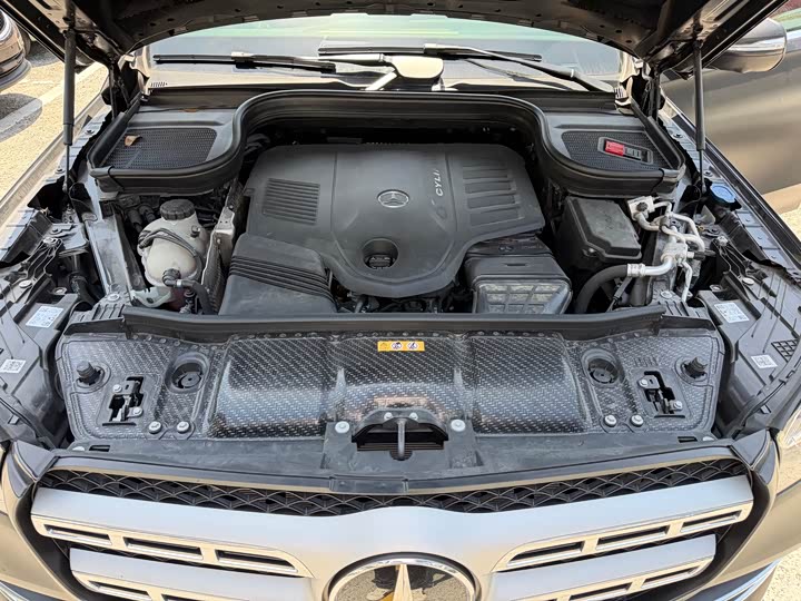 Mercedes-Benz GLS-Class 2022 2022款 改款二 GLS 450 4MATIC 时尚型