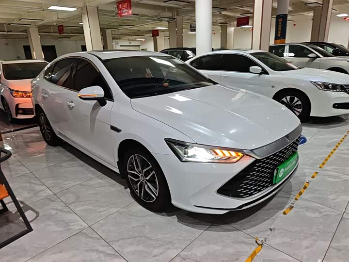 Фото 4 - BYD Qin Plus