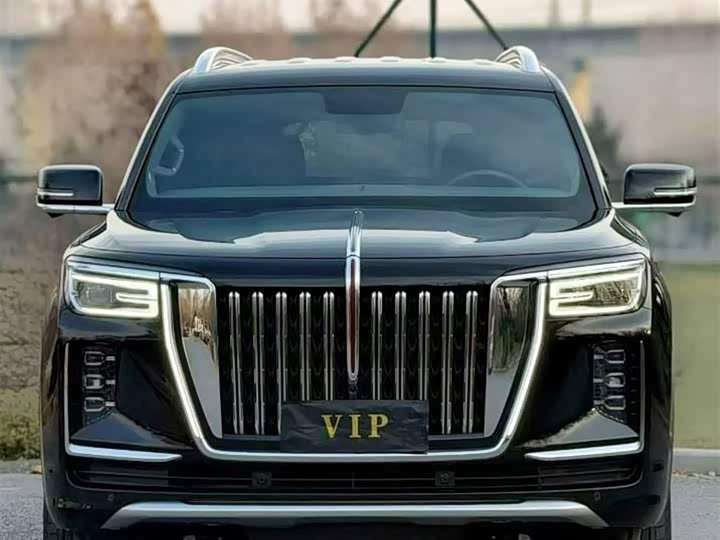 Hongqi LS7 (Guoyao) 2022 2022款 4.0T 尊爵旗舰版 4座