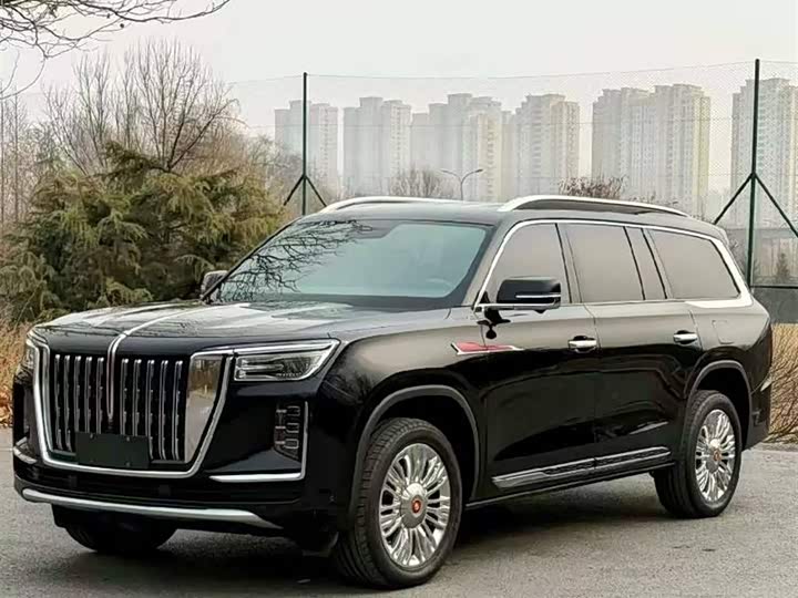 Hongqi LS7 (Guoyao) 2022 2022款 4.0T 尊爵旗舰版 4座